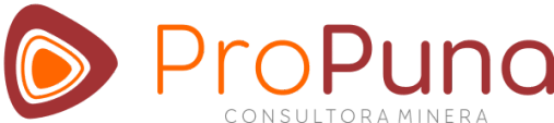 ProPuna Consultora Minera